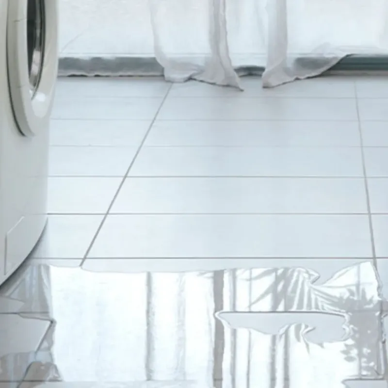 Appliance Leak Cleanup in Jasmine Estates, FL
